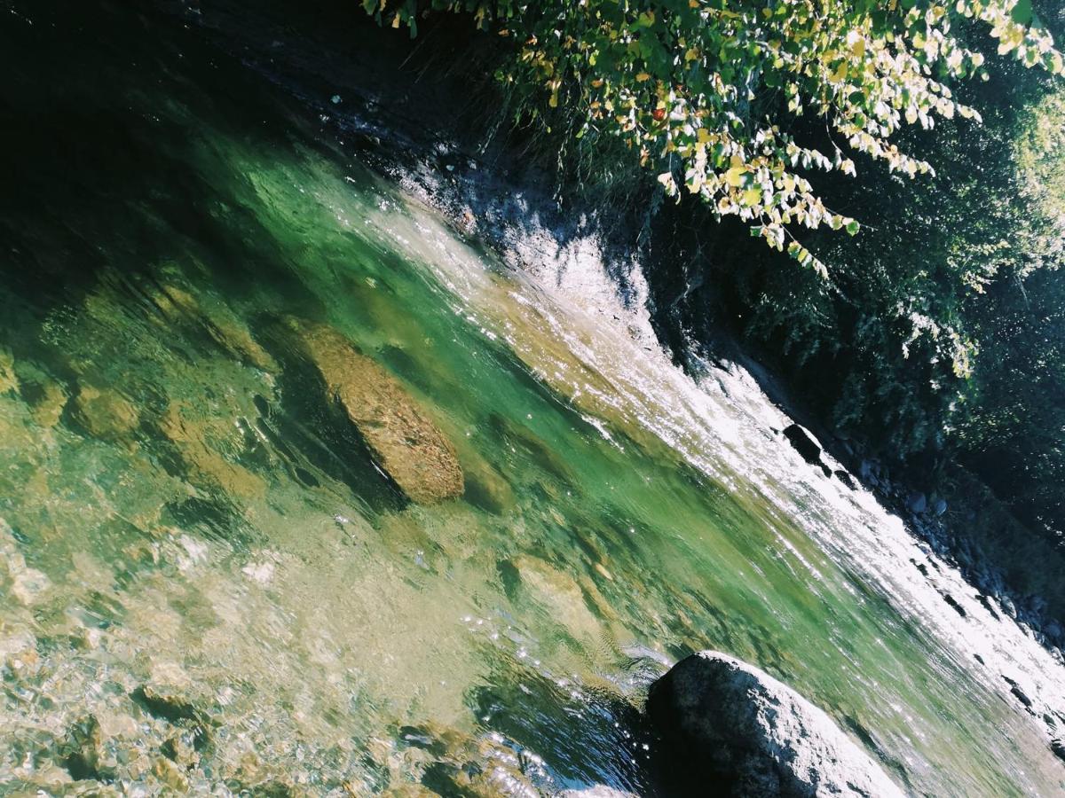 Susurul Apei Chalet โปรุมบาคู เด ซุซ ภายนอก รูปภาพ