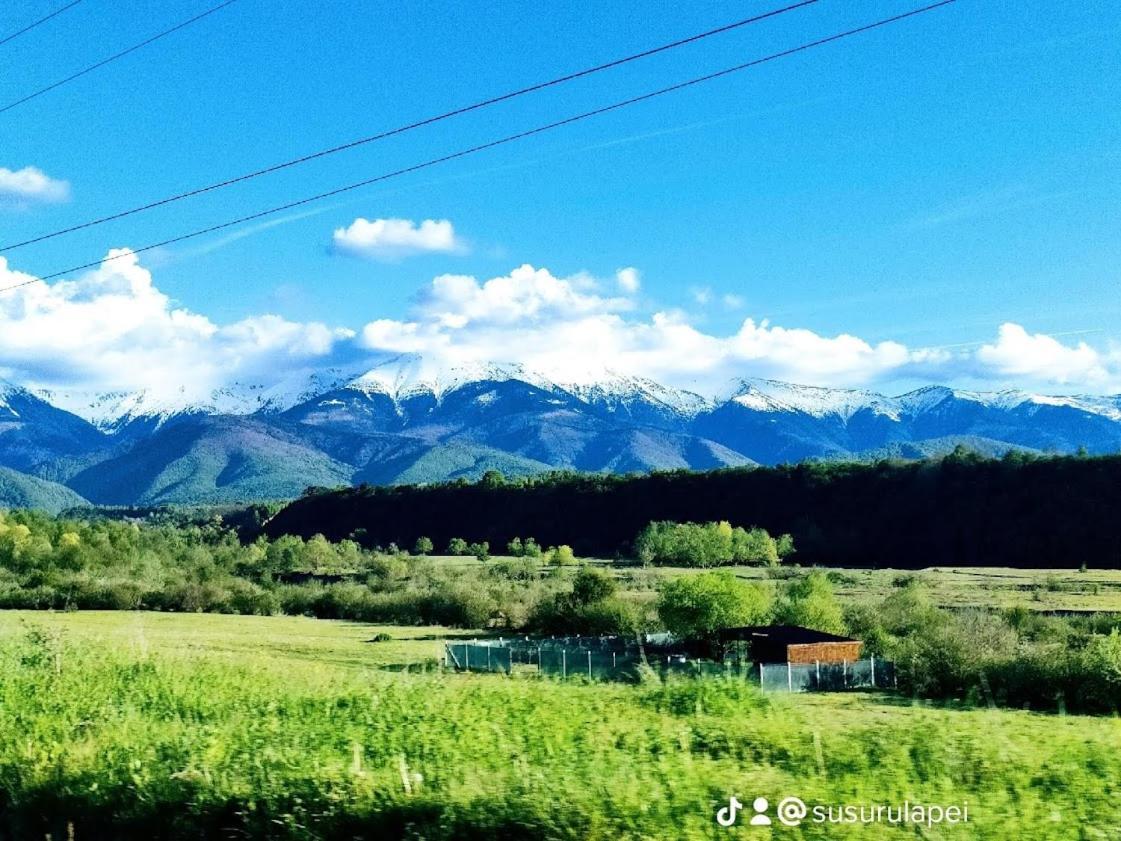 Susurul Apei Chalet โปรุมบาคู เด ซุซ ภายนอก รูปภาพ