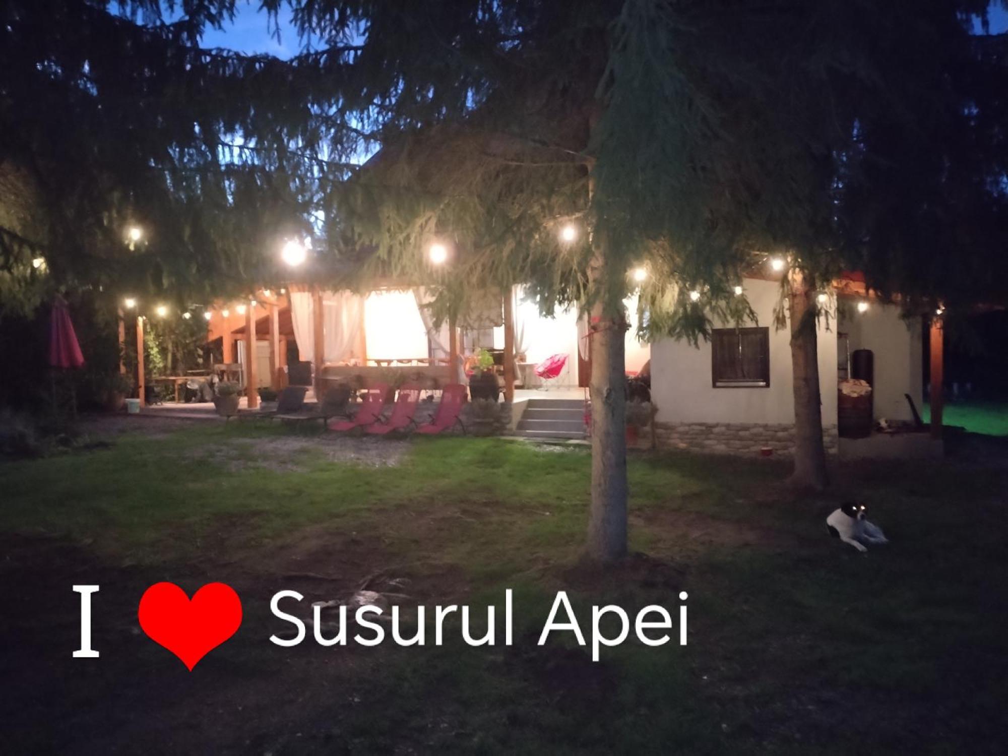 Susurul Apei Chalet โปรุมบาคู เด ซุซ ภายนอก รูปภาพ